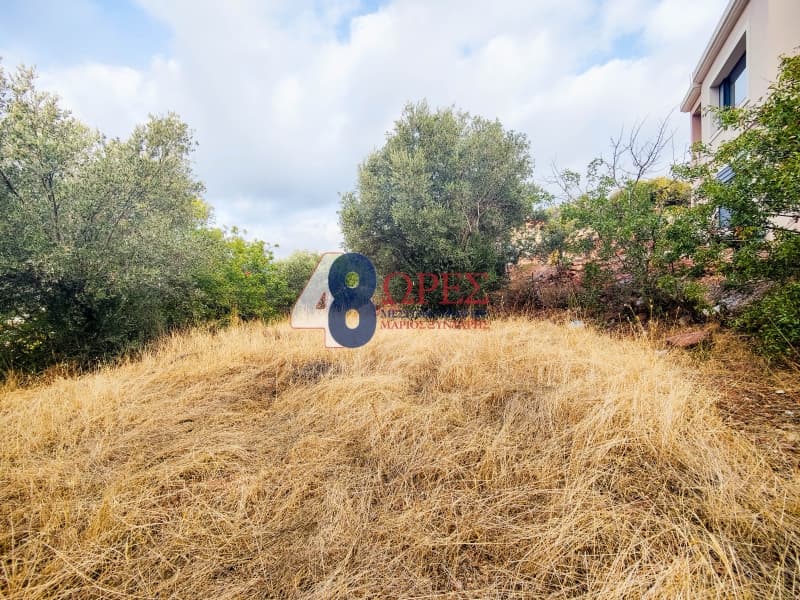 Οικόπεδο στην Άγιος Μηνάς, Χίος — Φωτογραφία 6 από 13