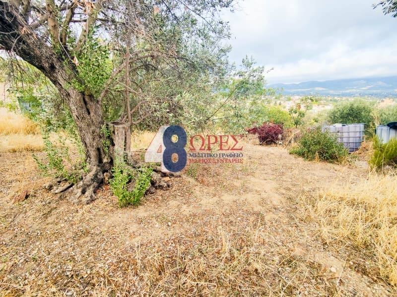 Οικόπεδο στην Άγιος Μηνάς, Χίος — Φωτογραφία 4 από 13