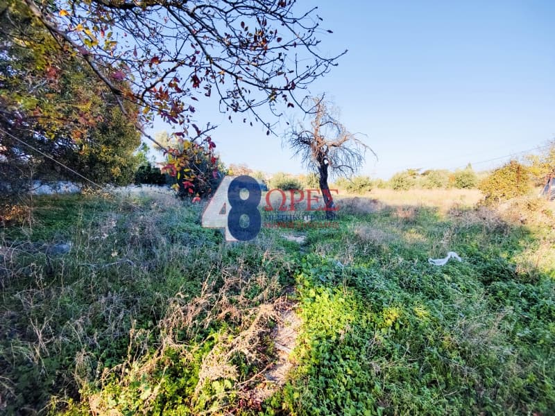 Οικόπεδο στην Πόλη Χίου, Χίος — Φωτογραφία 10 από 19