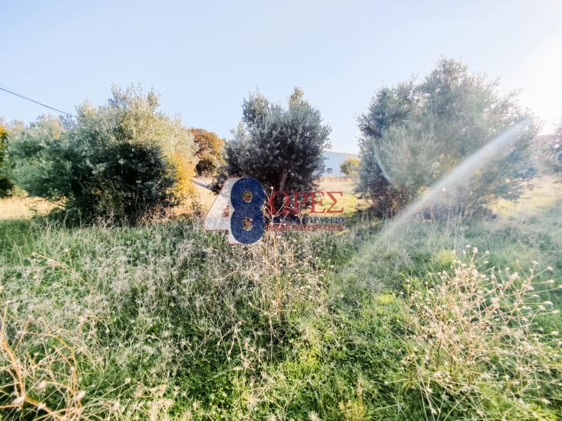 Οικόπεδο στην Πόλη Χίου, Χίος — Φωτογραφία 18 από 19