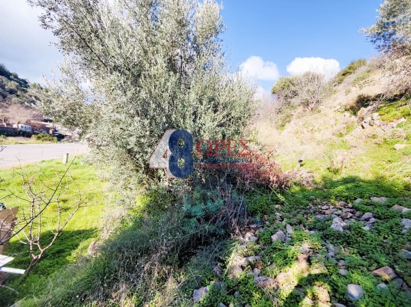 Οικόπεδο στην Πόλη Χίου, Χίος — Φωτογραφία 10 από 10