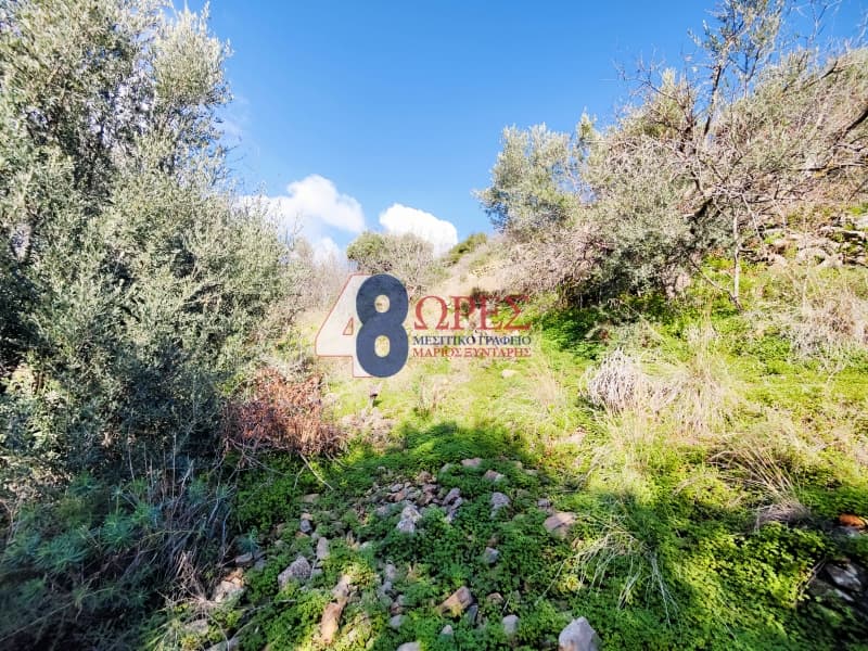 Οικόπεδο στην Πόλη Χίου, Χίος — Φωτογραφία 9 από 10