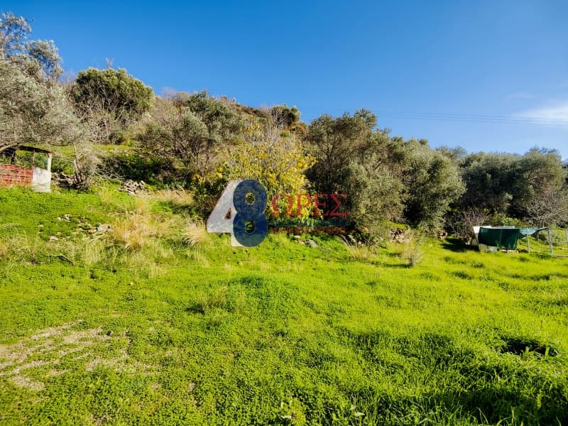 Οικόπεδο στην Πόλη Χίου, Χίος — Φωτογραφία 1 από 10