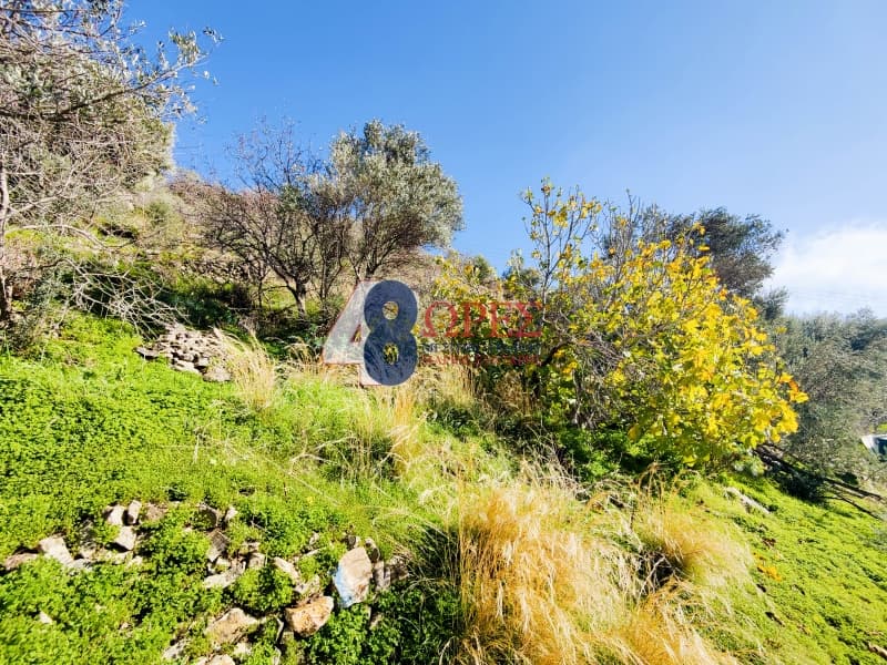 Οικόπεδο στην Πόλη Χίου, Χίος — Φωτογραφία 2 από 10