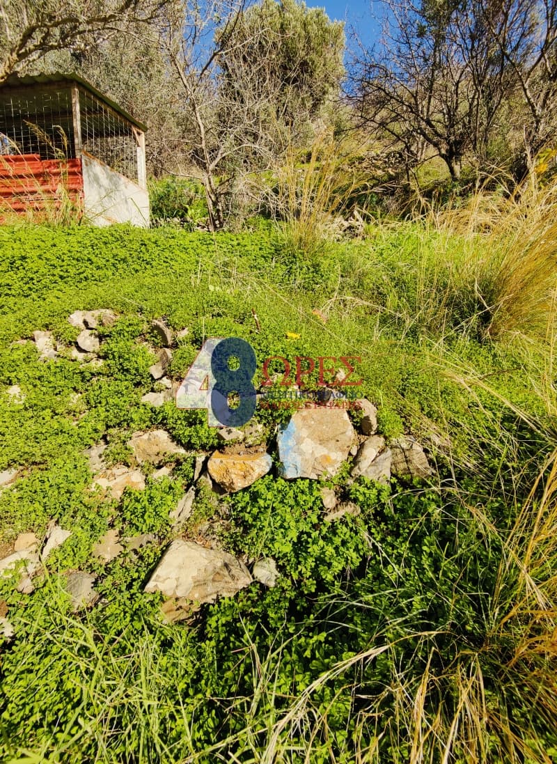 Οικόπεδο στην Πόλη Χίου, Χίος — Φωτογραφία 4 από 10