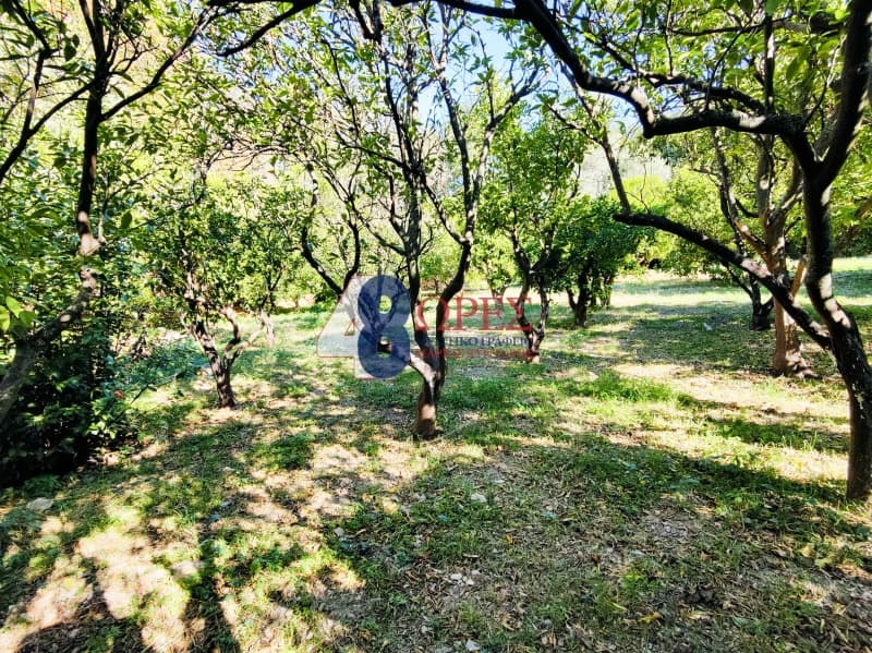 Οικόπεδο στην Πόλη Χίου, Χίος — Φωτογραφία 8 από 13