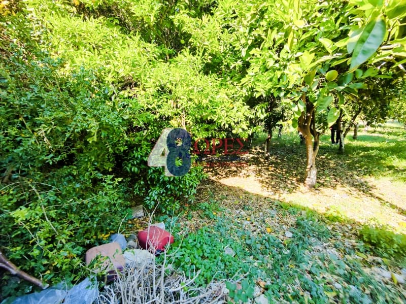 Οικόπεδο στην Πόλη Χίου, Χίος — Φωτογραφία 11 από 13