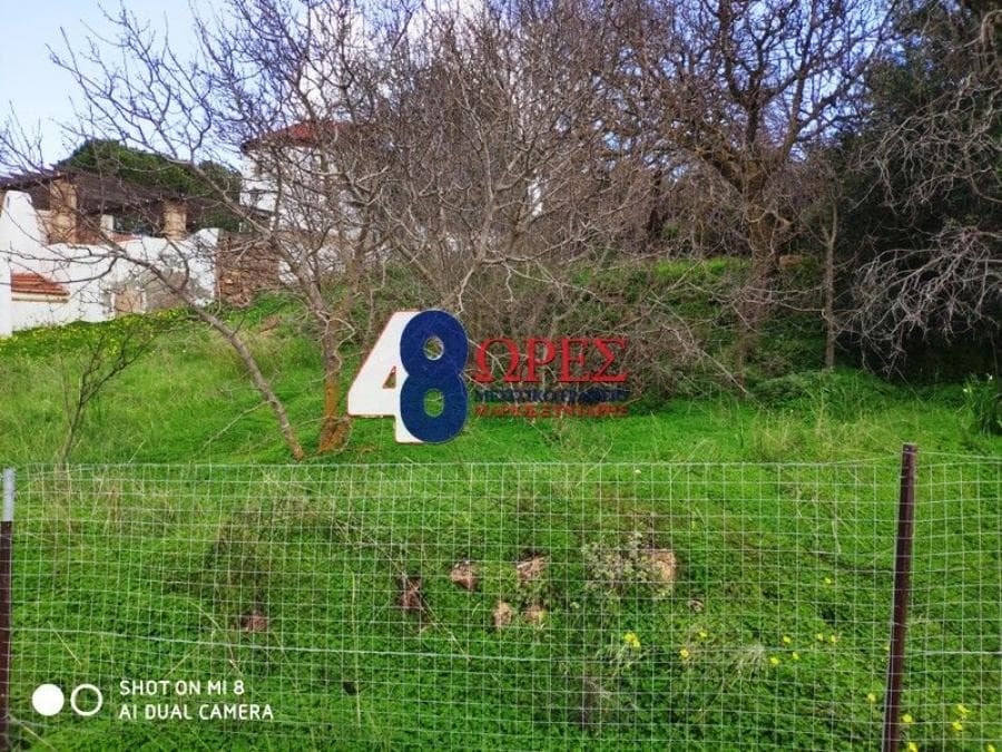 Building Plot in Agios Minas, Chios — Photo 4 of 12