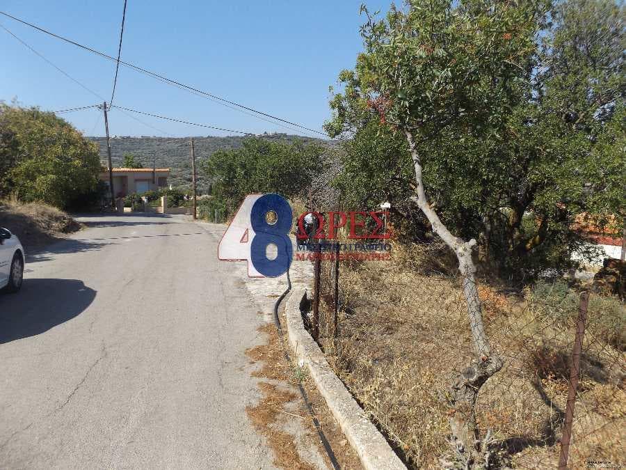 Building Plot in Agios Minas, Chios — Photo 8 of 12