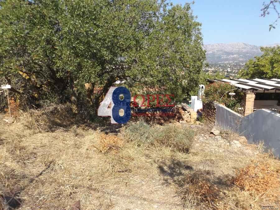 Building Plot in Agios Minas, Chios — Photo 9 of 12