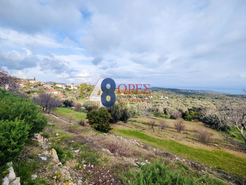 Οικόπεδο στην Ιωνία, Χίος — Φωτογραφία 9 από 10