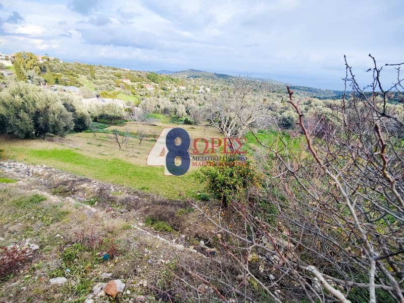 Οικόπεδο στην Ιωνία, Χίος — Φωτογραφία 10 από 10