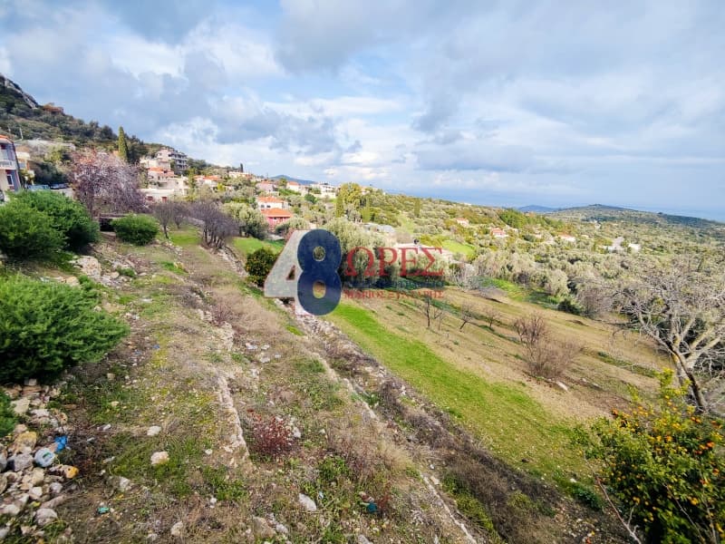 Οικόπεδο στην Ιωνία, Χίος — Φωτογραφία 6 από 10
