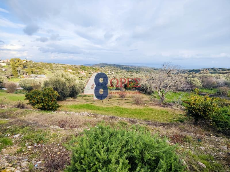 Οικόπεδο στην Ιωνία, Χίος — Φωτογραφία 2 από 10