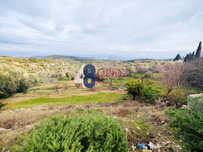 Οικόπεδο στην Ιωνία, Χίος — Φωτογραφία 1 από 10