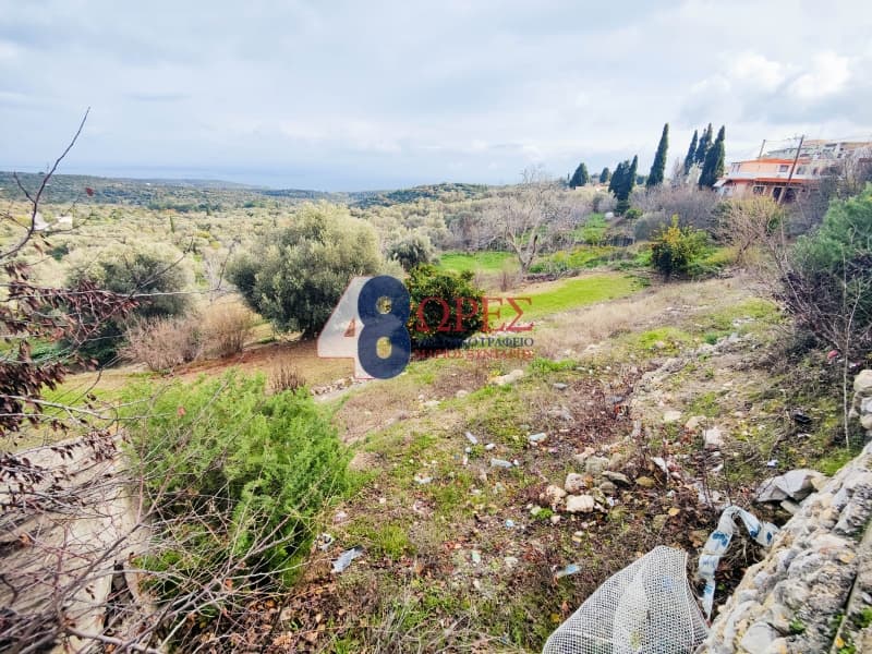 Οικόπεδο στην Ιωνία, Χίος — Φωτογραφία 4 από 10