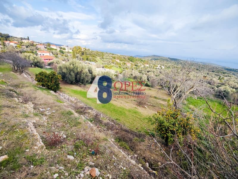 Οικόπεδο στην Ιωνία, Χίος — Φωτογραφία 5 από 10