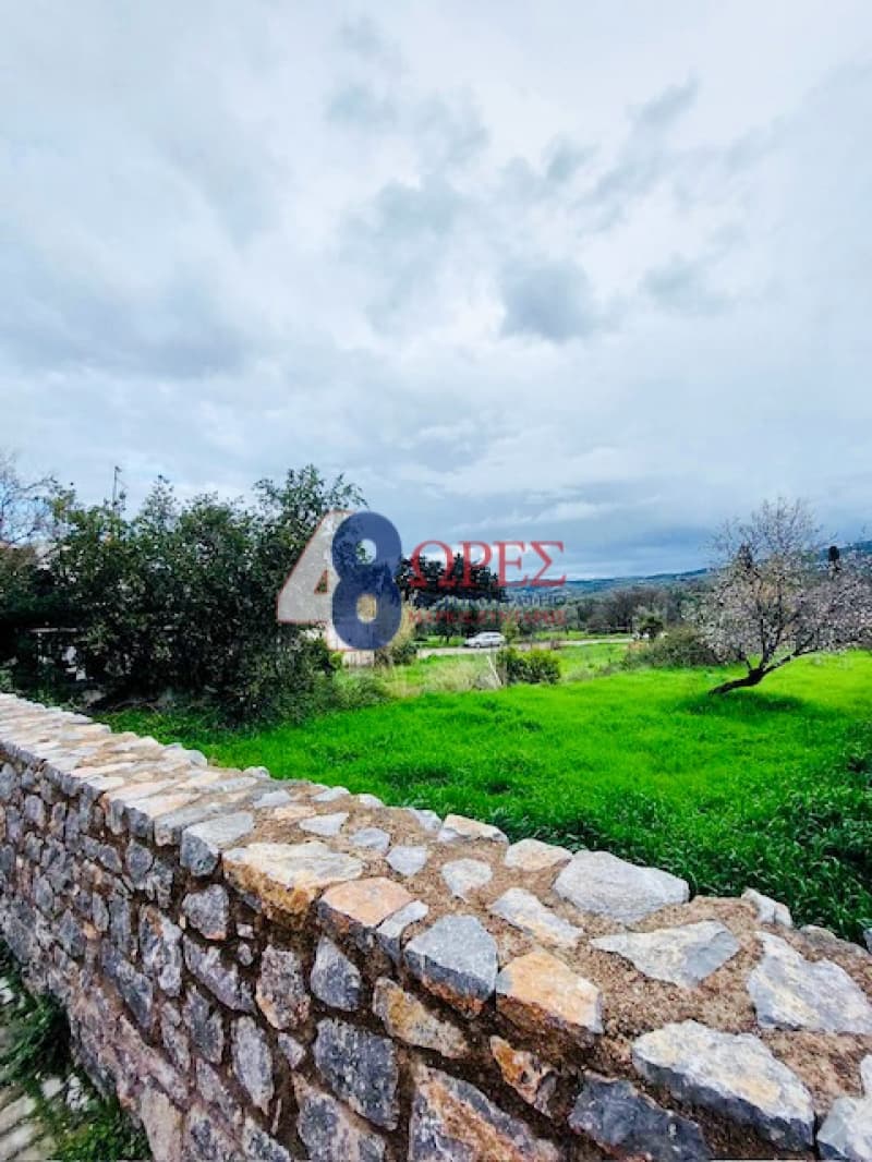 Οικόπεδο στην Καμποχώρια, Χίος — Φωτογραφία 1 από 5