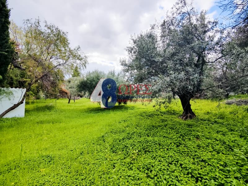 Οικόπεδο στην Πόλη Χίου, Χίος — Φωτογραφία 7 από 26
