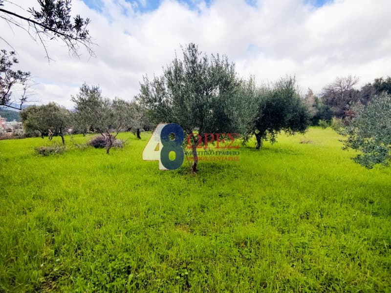 Οικόπεδο στην Πόλη Χίου, Χίος — Φωτογραφία 25 από 26