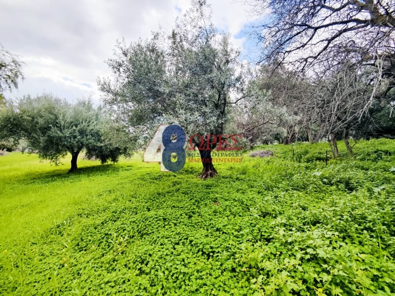 Οικόπεδο στην Πόλη Χίου, Χίος — Φωτογραφία 6 από 26