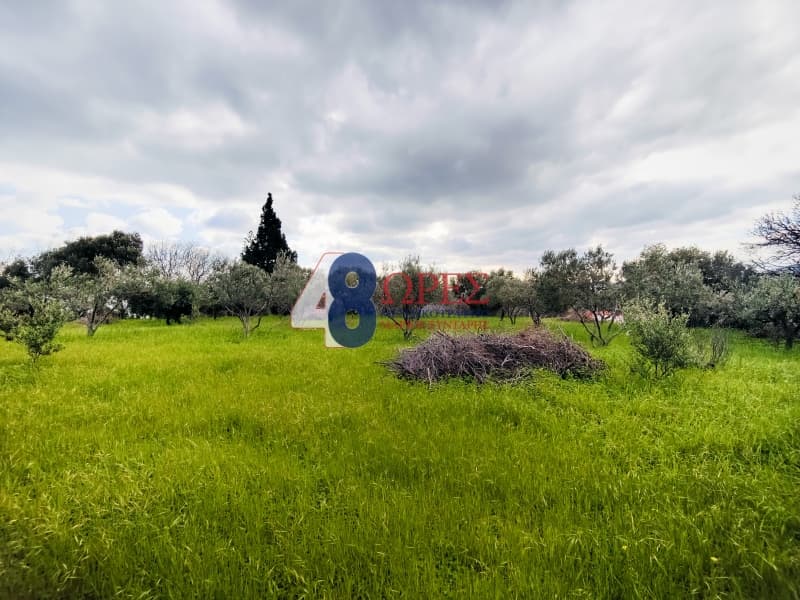 Οικόπεδο στην Πόλη Χίου, Χίος — Φωτογραφία 14 από 26