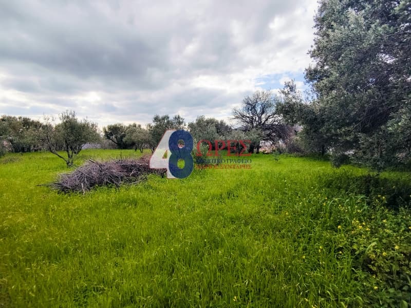 Οικόπεδο στην Πόλη Χίου, Χίος — Φωτογραφία 13 από 26