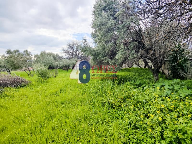 Οικόπεδο στην Πόλη Χίου, Χίος — Φωτογραφία 12 από 26