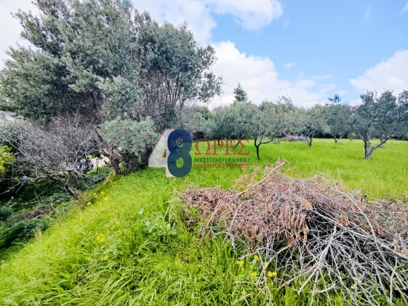 Οικόπεδο στην Πόλη Χίου, Χίος — Φωτογραφία 26 από 26