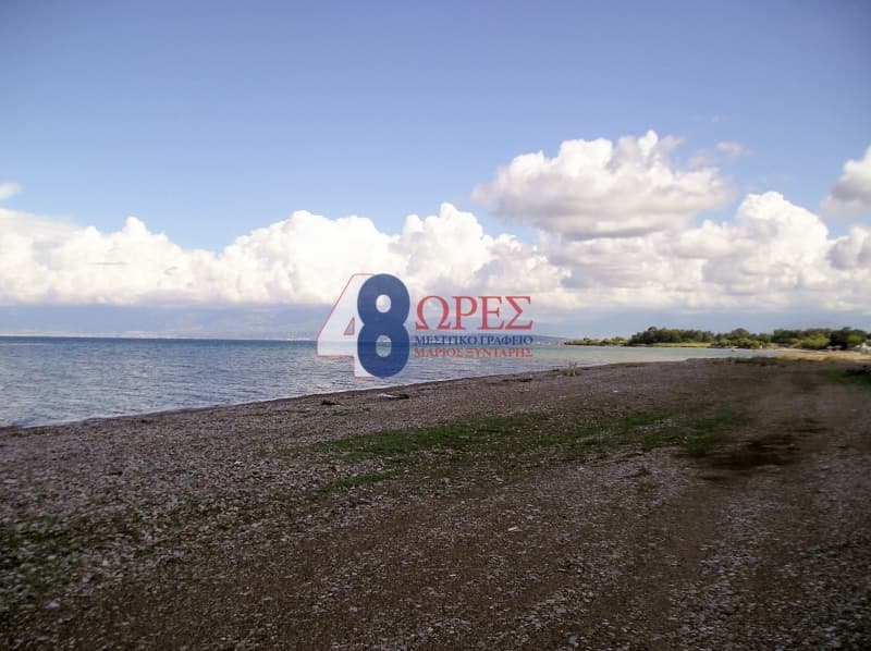 Μονοκατοικία στην Παραλία Νιφοραιίκων, Δυτικής Αχαΐας — Φωτογραφία 16 από 16