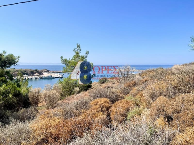 Οικόπεδο στην Αμάνη, Χίος — Φωτογραφία 10 από 15