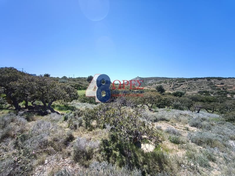 Οικόπεδο στην Μαστιχοχώρια, Χίος — Φωτογραφία 20 από 30