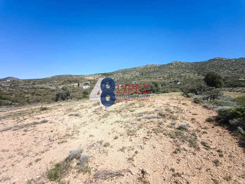 Οικόπεδο στην Μαστιχοχώρια, Χίος — Φωτογραφία 24 από 30
