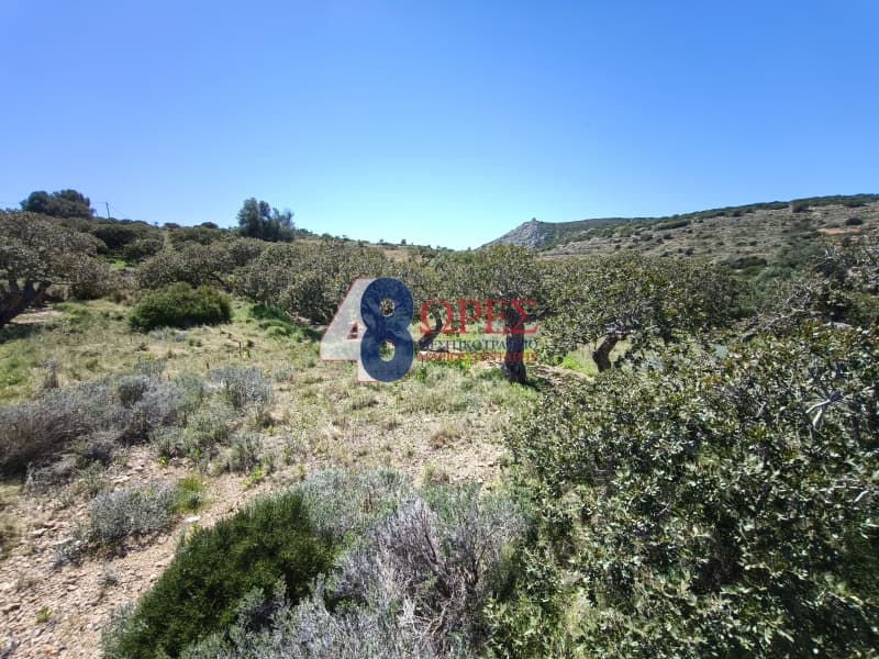 Οικόπεδο στην Μαστιχοχώρια, Χίος — Φωτογραφία 11 από 30