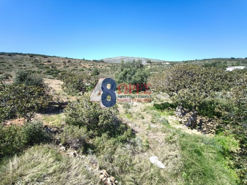 Οικόπεδο στην Μαστιχοχώρια, Χίος — Φωτογραφία 5 από 30