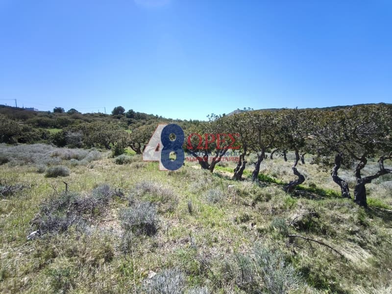 Οικόπεδο στην Μαστιχοχώρια, Χίος — Φωτογραφία 16 από 30