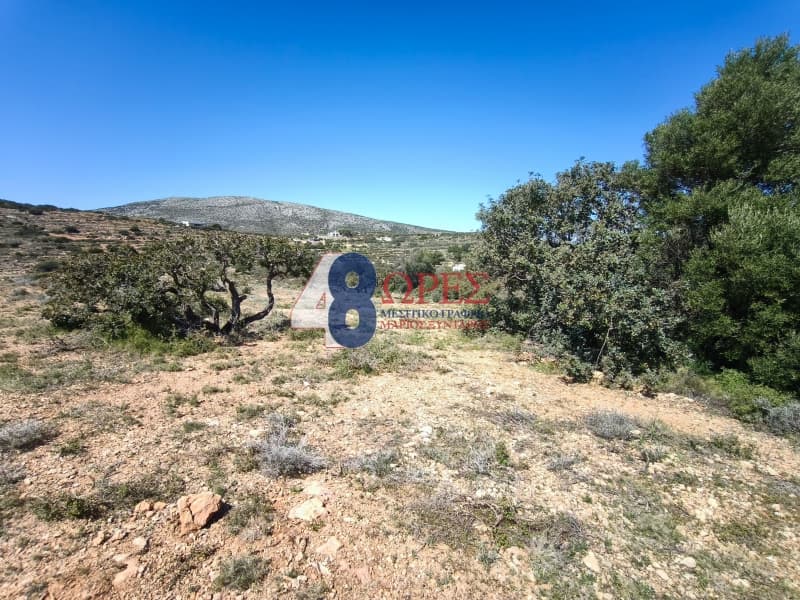 Οικόπεδο στην Μαστιχοχώρια, Χίος — Φωτογραφία 23 από 30