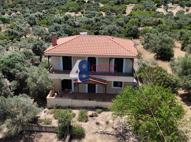 Μονοκατοικία στην Μαστιχοχώρια, Χίος — Φωτογραφία 2 από 30