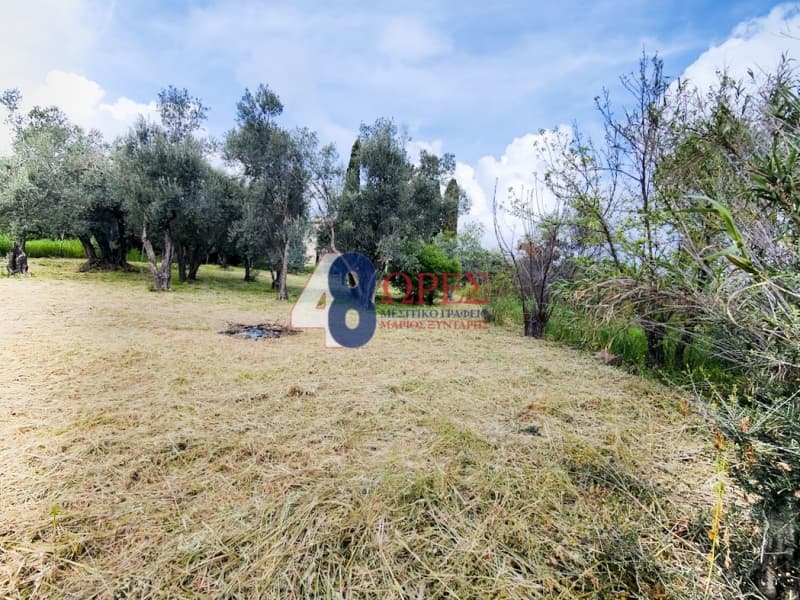 Οικόπεδο στην Άγιος Μηνάς, Χίος — Φωτογραφία 19 από 22