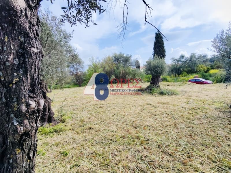 Οικόπεδο στην Άγιος Μηνάς, Χίος — Φωτογραφία 6 από 22