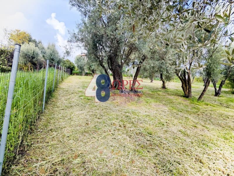 Οικόπεδο στην Άγιος Μηνάς, Χίος — Φωτογραφία 4 από 22