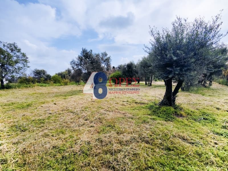 Οικόπεδο στην Άγιος Μηνάς, Χίος — Φωτογραφία 9 από 22