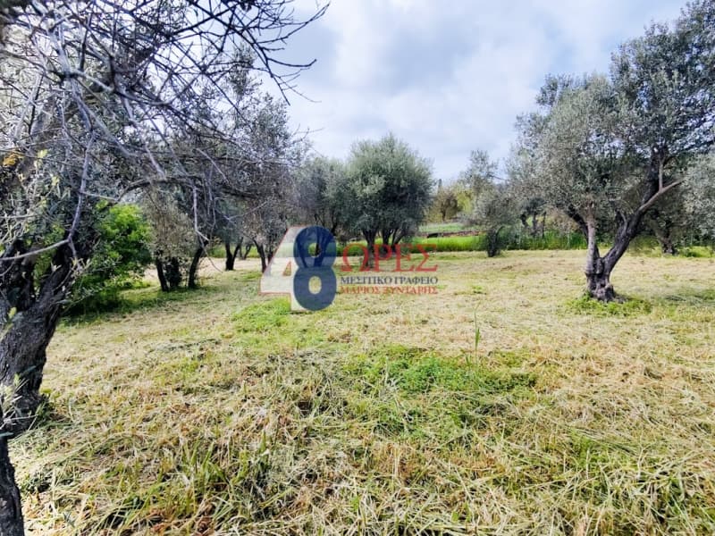 Οικόπεδο στην Άγιος Μηνάς, Χίος — Φωτογραφία 16 από 22