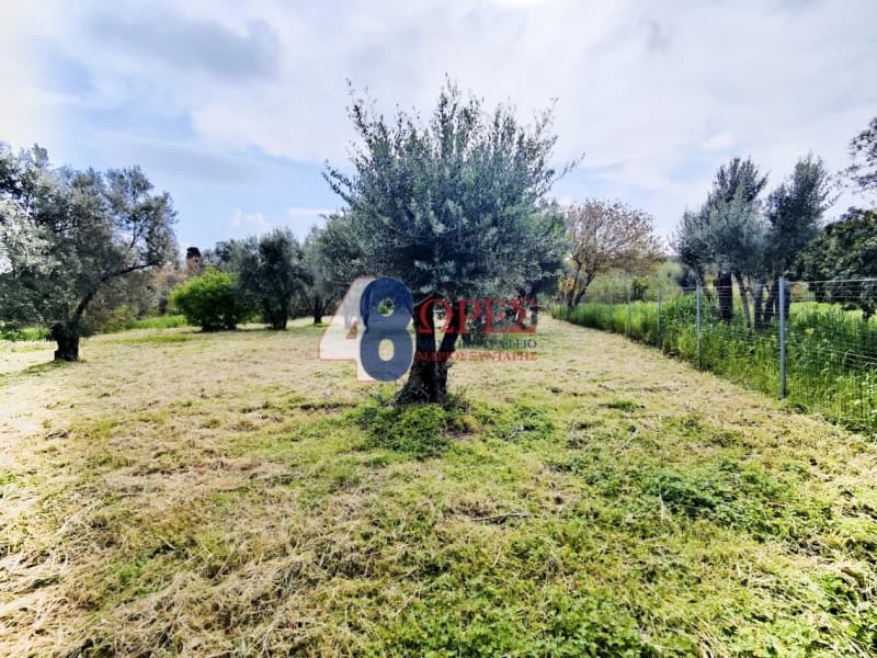 Οικόπεδο στην Άγιος Μηνάς, Χίος — Φωτογραφία 10 από 22