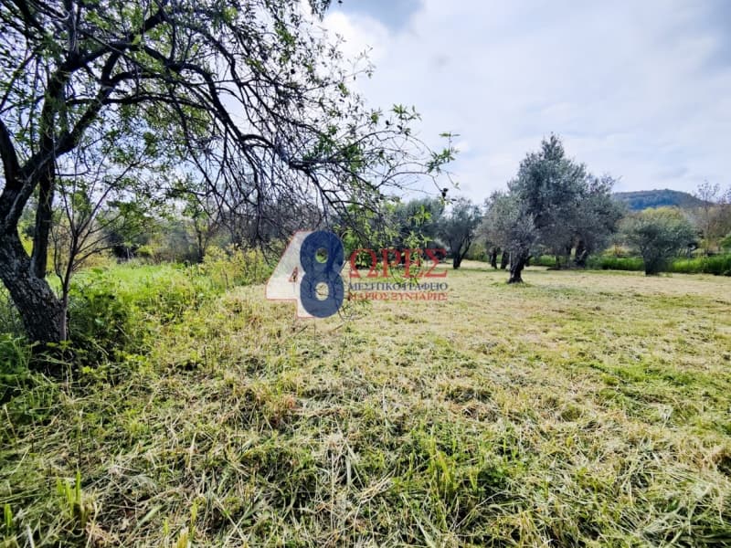 Οικόπεδο στην Άγιος Μηνάς, Χίος — Φωτογραφία 11 από 22
