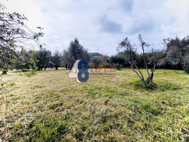 Οικόπεδο στην Άγιος Μηνάς, Χίος — Φωτογραφία 13 από 22