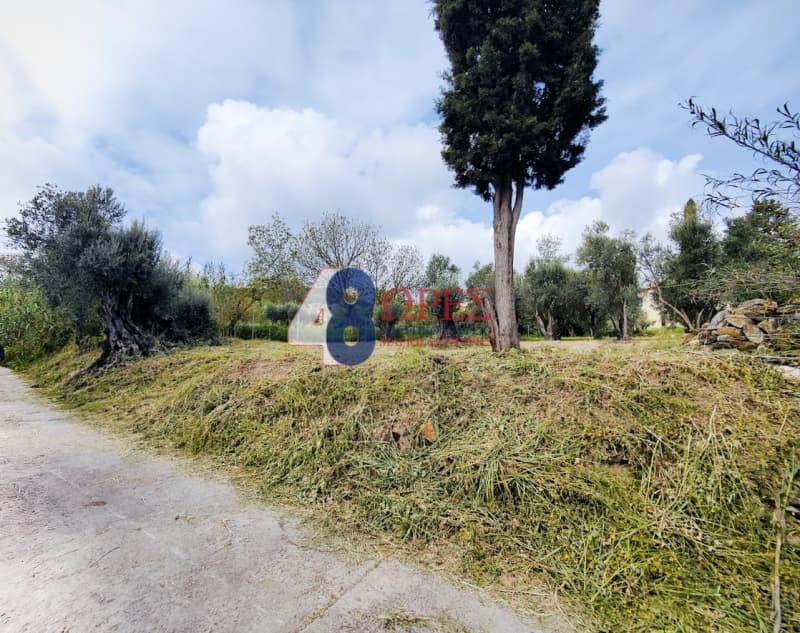 Οικόπεδο στην Άγιος Μηνάς, Χίος — Φωτογραφία 21 από 22