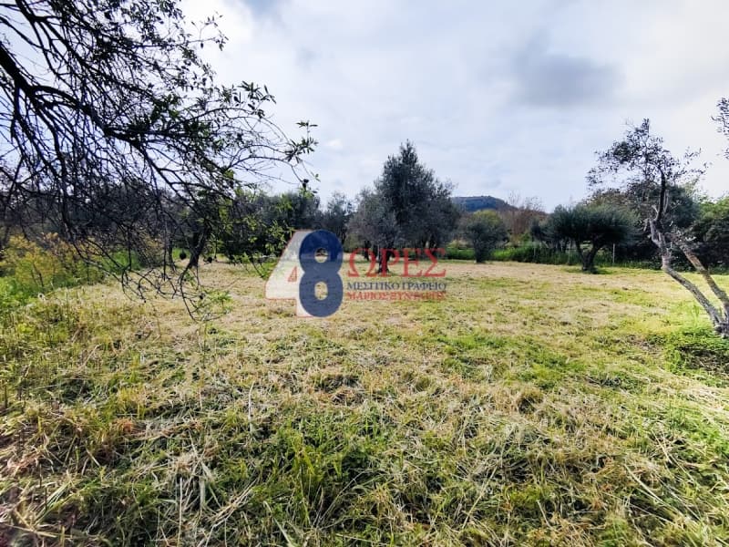 Οικόπεδο στην Άγιος Μηνάς, Χίος — Φωτογραφία 12 από 22