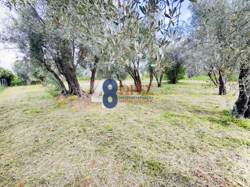 Οικόπεδο στην Άγιος Μηνάς, Χίος — Φωτογραφία 5 από 22