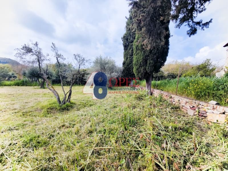 Οικόπεδο στην Άγιος Μηνάς, Χίος — Φωτογραφία 14 από 22